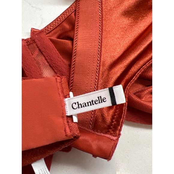 Chantelle Hedona Molded Underwire BraSatun Lace Full Coverage Size 40DD‎